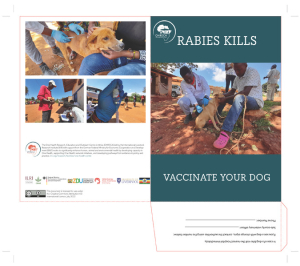 Rabies folder final.pdf.jpg