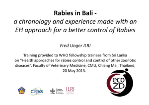 Rabies in Bali.pdf.jpg