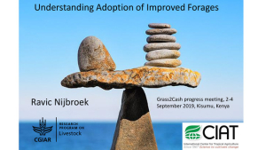 RavicNijbroek_Grass2Cash_Sept19_Adoption discussion_LivestockCRPreport.pdf.jpg