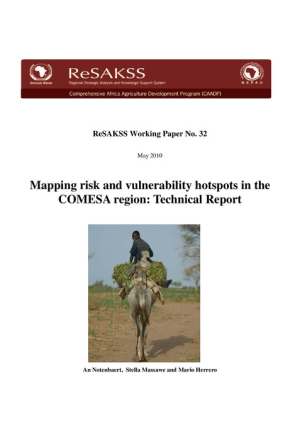 ReSAKSS-WP#32-ECA-Technical Report_26Aug2010.pdf.jpg