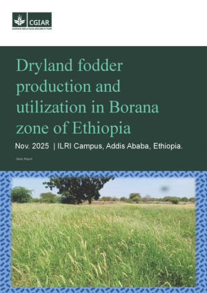 Report Borana Zone of Ethiopia.pdf.jpg