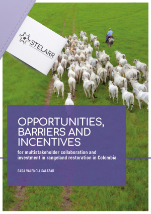 Report stelarr sector study Colombia..pdf.jpg