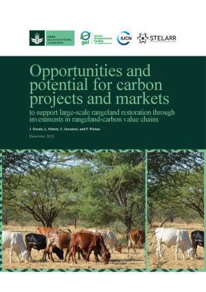 Report-carbon value chains.pdf.jpg