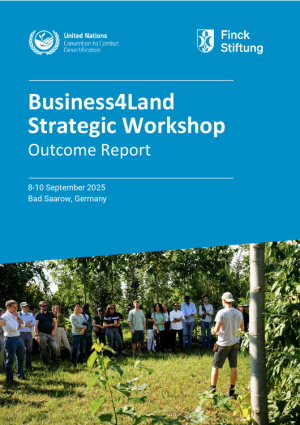 Report_B4L Strategic Workshop.pdf.jpg