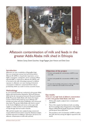 ResearchBrief46.pdf.jpg