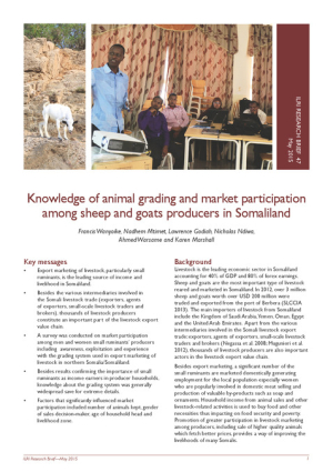 ResearchBrief47.pdf.jpg