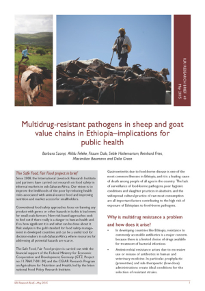 ResearchBrief49.pdf.jpg