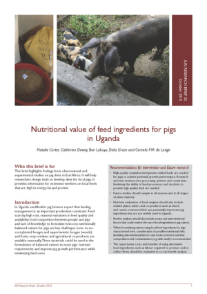 ResearchBrief55.pdf.jpg