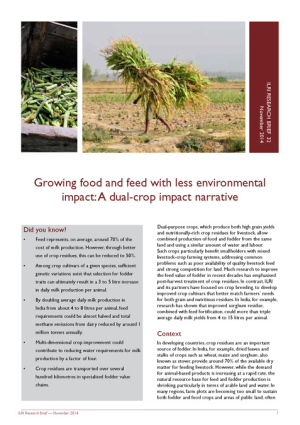 ResearchBrief_32.pdf.jpg
