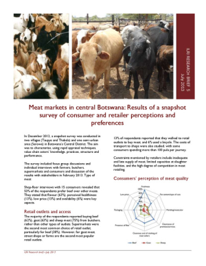 Research_brief_5_web.pdf.jpg