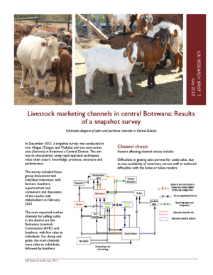 Research_brief_7_print.pdf.jpg