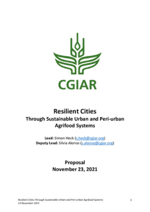 Resilient-Cities.pdf.jpg