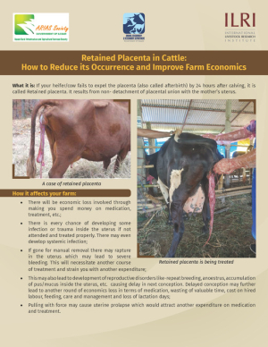 Retained Placenta.pdf.jpg