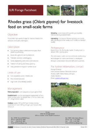 Rhodesgrass.pdf.jpg
