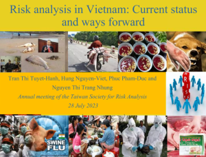 Risk analysis VN.png