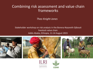 Risk assessment and value chain.pdf.jpg