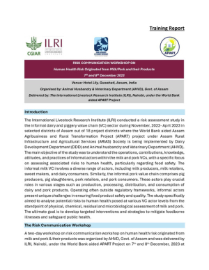 Risk comm workshop.pdf.jpg