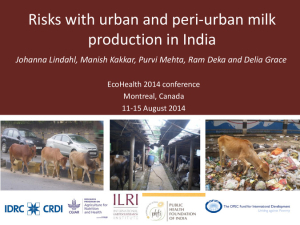 Risks with urban and periurban milk production in India.pdf.jpg