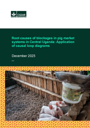 Root_causes_pigMarket_system_blockages.pdf.jpg