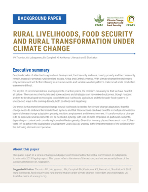 RuralLivelihoodsFoodSecurityRuralTransformation_V2.pdf.jpg