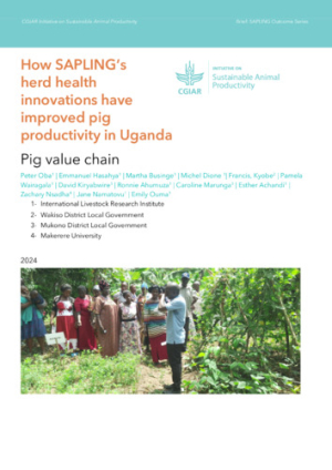 SAPLING_Productivity Outcome Report.pdf.jpg