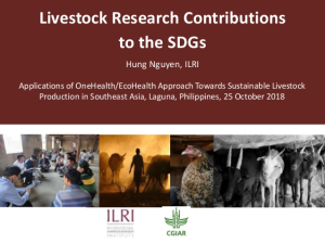 SDGs livestock.jpg