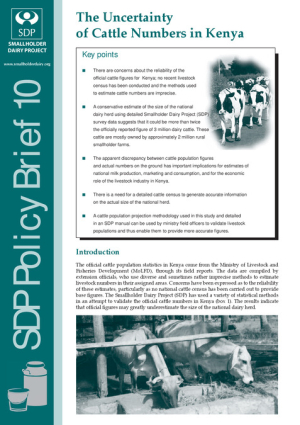 SDP Brief 10.pdf.jpg