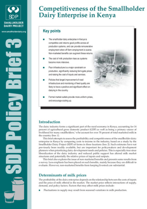 SDP Brief 3.pdf.jpg