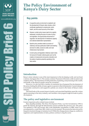 SDP Brief 6.pdf.jpg