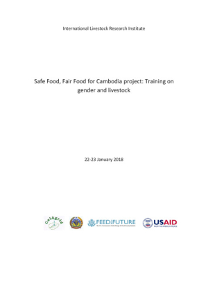 SFFF Cambodia gender training.pdf.jpg