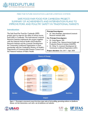 SFFF Cambodia interventions.pdf.jpg