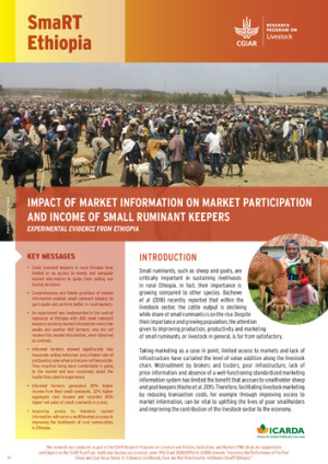 SMaRT_Ethiopia_MarketInformation.pdf.jpg