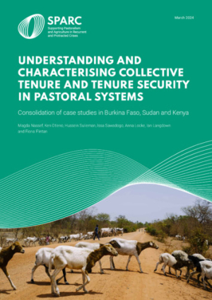 SPARC_Report_BurkinaFaso_Sudan_Kenya.pdf.jpg