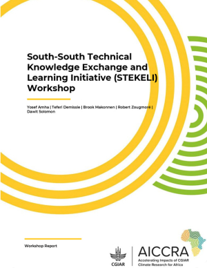 STEKELI Report.pdf.jpg