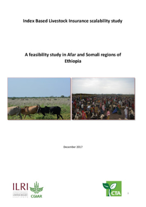ScalabilityStudy_Afar__ibli.pdf.jpg