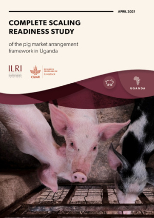 Scaling report.pdf.jpg