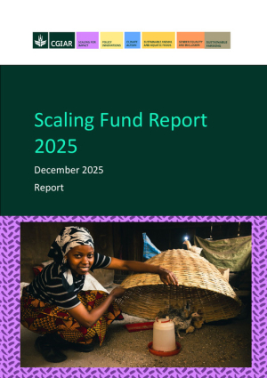 ScalingFundReport_2025.pdf.jpg