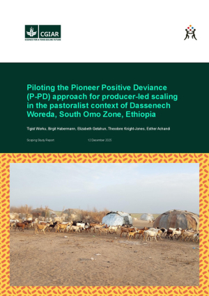 Scoping Study Report -South Omo.pdf.jpg