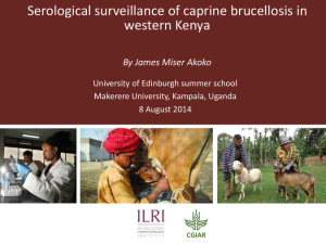 Serological surveillance of caprine brucellosis in western Kenya.pdf.jpg