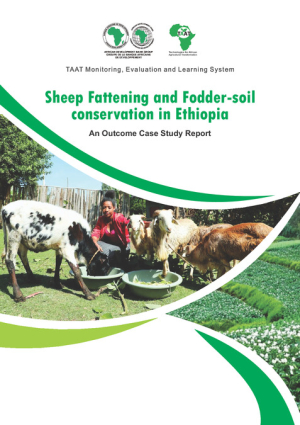 Sheep-Fattening-and-Fodder-soil-in-Ethiopia-Outcome-Case-Study-Report.pdf.jpg