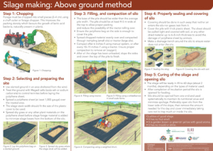 SilageMakingPoster2_en_May2024.pdf.jpg