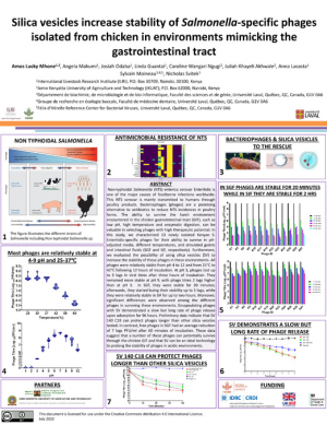 Silica vesicles.pdf.jpg