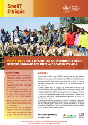 SmaRTEthiopiaCBBP.pdf.jpg