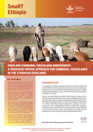 SmaRTEthiopiaHCGM.pdf.jpg