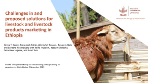 SmaRT_Ethiopia_2Nov2021_markets.pdf.jpg