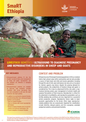 SmaRT_Ethiopia_LivestockGenetics_Ultrasound.pdf.jpg