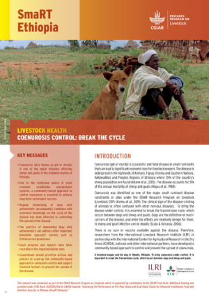 SmaRT_Ethiopia_LivestockHealth_Coenurosis.pdf.jpg