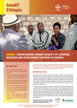 SmaRT_Ethiopia_StrengtheningGender.pdf.jpg