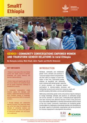 SmaRT_Ethiopia_gender.pdf.jpg