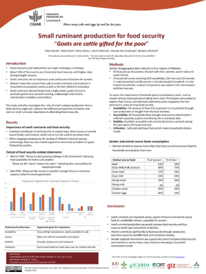 Small ruminant production for food security.pdf.jpg